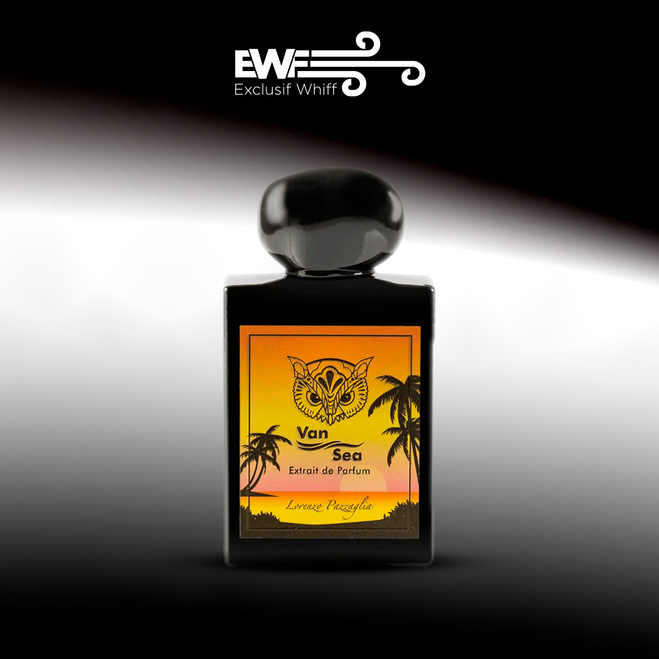 LORENZO PAZZAGLIA / VAN SEA