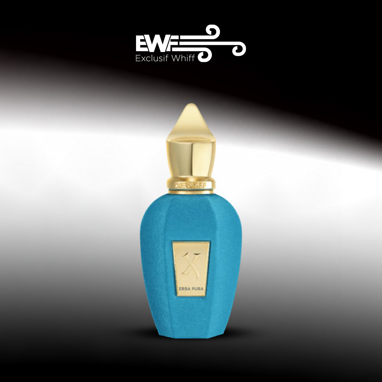 XERJOFF / ERBA PURA EDP