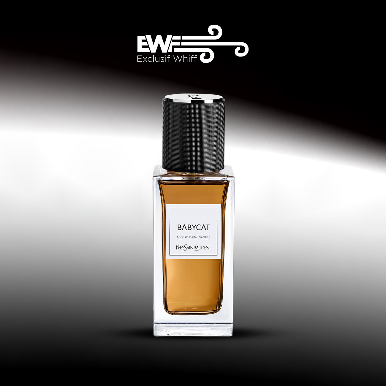 YVES SAINT LAURENT / BABYCAT